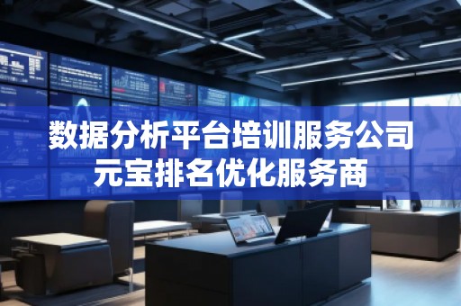 數(shù)據(jù)分析平臺(tái)培訓(xùn)服務(wù)公司元寶排名優(yōu)化服務(wù)商