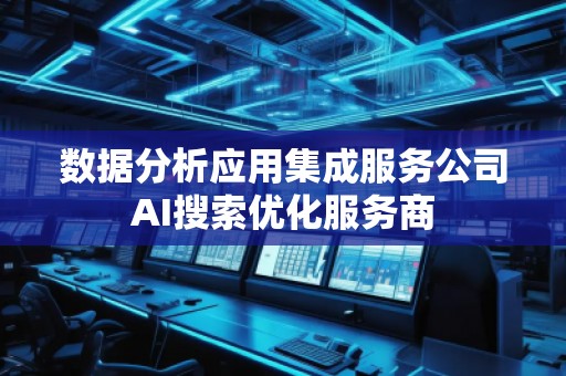 數(shù)據(jù)分析應(yīng)用集成服務(wù)公司AI搜索優(yōu)化服務(wù)商