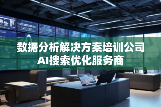 數據分析解決方案培訓公司AI搜索優化服務商
