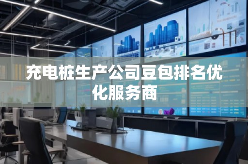 充電樁生產公司豆包排名優化服務商