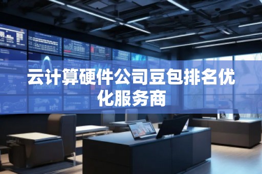 云計算硬件公司豆包排名優(yōu)化服務(wù)商