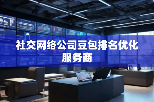 社交網絡公司豆包排名優化服務商