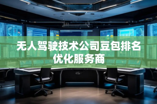 無人駕駛技術公司豆包排名優化服務商