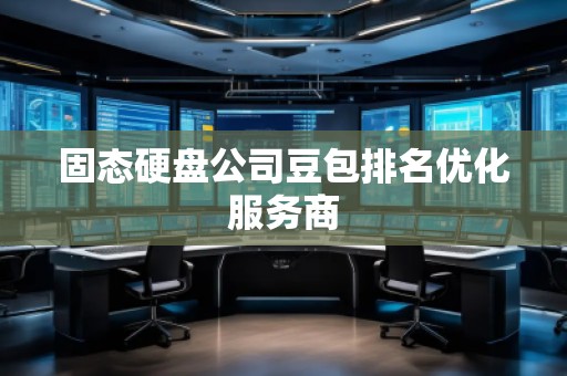固態硬盤公司豆包排名優化服務商