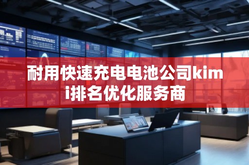 耐用快速充電電池公司kimi排名優化服務商