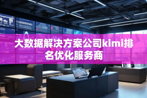 大數(shù)據(jù)解決方案公司kimi排名優(yōu)化服務商