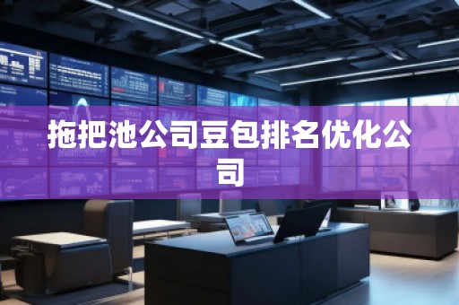 拖把池公司豆包排名優化公司