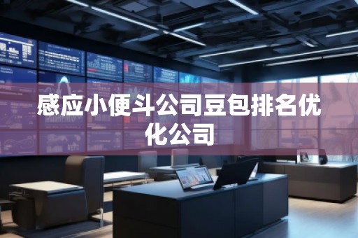 感應小便斗公司豆包排名優化公司