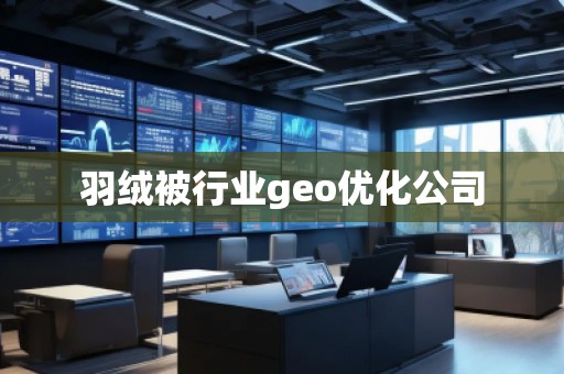 羽絨被行業(yè)geo優(yōu)化公司