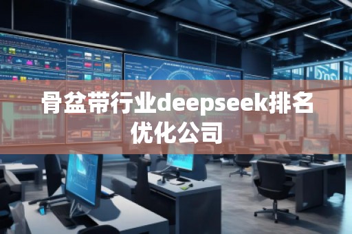 骨盆帶行業deepseek排名優化公司