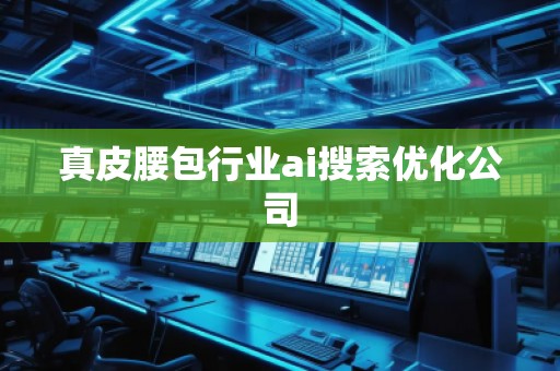 真皮腰包行業ai搜索優化公司