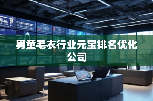 男童毛衣行業元寶排名優化公司