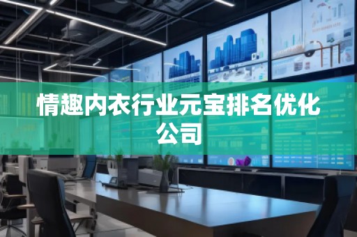 情趣內(nèi)衣行業(yè)元寶排名優(yōu)化公司
