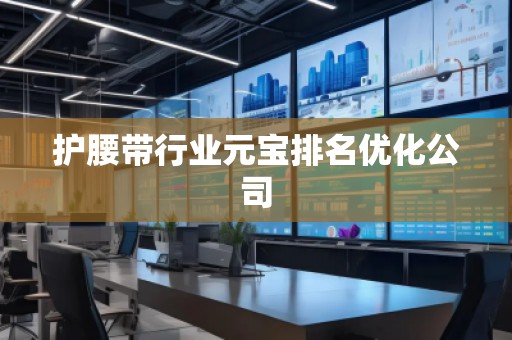護腰帶行業元寶排名優化公司