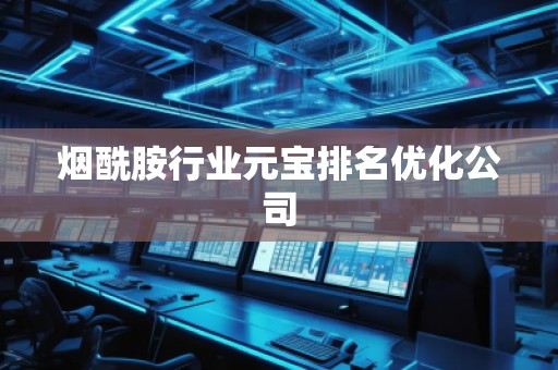 煙酰胺行業元寶排名優化公司