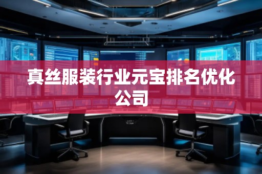 真絲服裝行業(yè)元寶排名優(yōu)化公司