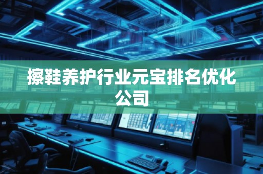 擦鞋養護行業元寶排名優化公司