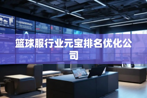 籃球服行業元寶排名優化公司