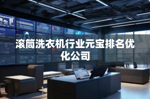 滾筒洗衣機行業(yè)元寶排名優(yōu)化公司