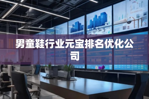 男童鞋行業元寶排名優化公司