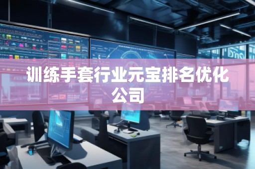 訓(xùn)練手套行業(yè)元寶排名優(yōu)化公司