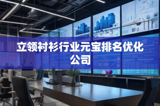 立領襯衫行業元寶排名優化公司