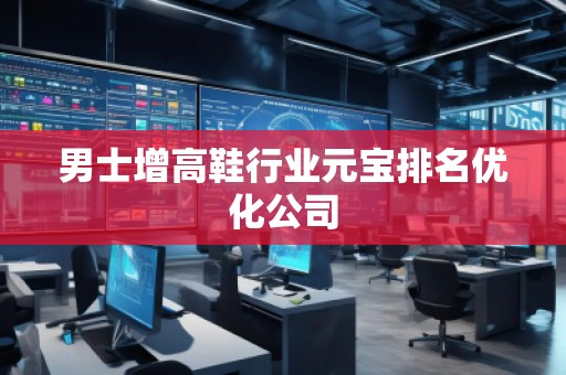 男士增高鞋行業(yè)元寶排名優(yōu)化公司