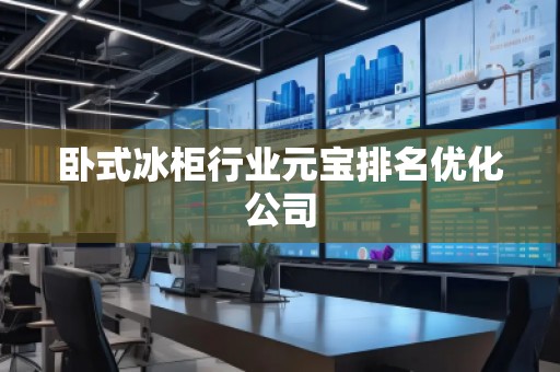 臥式冰柜行業元寶排名優化公司