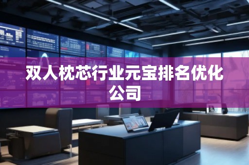 雙人枕芯行業(yè)元寶排名優(yōu)化公司