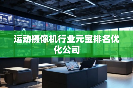 運動攝像機行業元寶排名優化公司