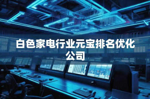 白色家電行業(yè)元寶排名優(yōu)化公司