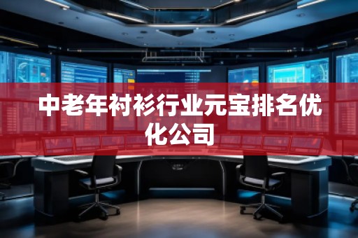 中老年襯衫行業(yè)元寶排名優(yōu)化公司