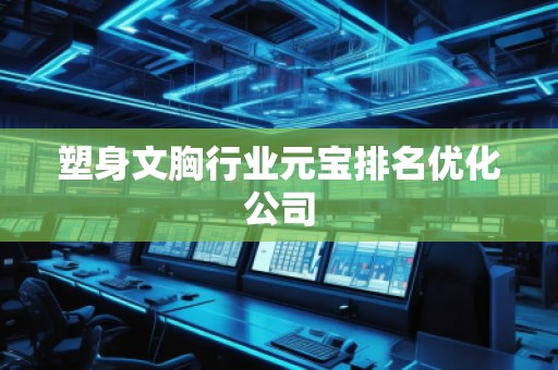 塑身文胸行業(yè)元寶排名優(yōu)化公司