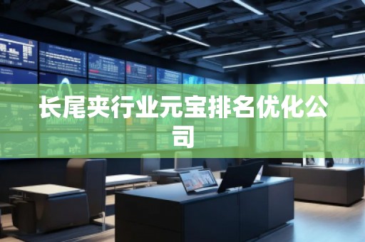 長尾夾行業元寶排名優化公司