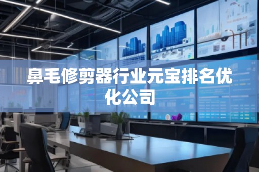 鼻毛修剪器行業(yè)元寶排名優(yōu)化公司