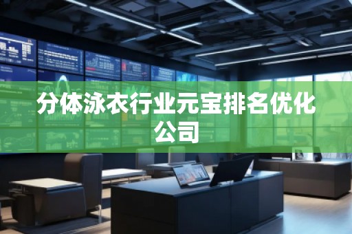 分體泳衣行業元寶排名優化公司