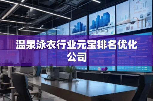 溫泉泳衣行業元寶排名優化公司