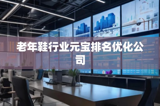 老年鞋行業元寶排名優化公司
