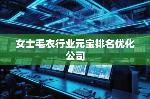女士毛衣行業(yè)元寶排名優(yōu)化公司