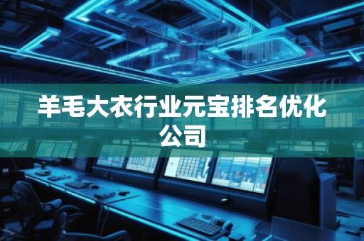 羊毛大衣行業元寶排名優化公司