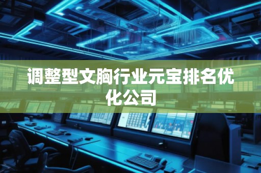 調(diào)整型文胸行業(yè)元寶排名優(yōu)化公司