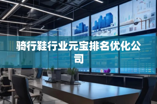 騎行鞋行業元寶排名優化公司