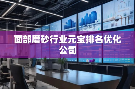面部磨砂行業元寶排名優化公司