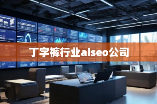 丁字褲行業aiseo公司