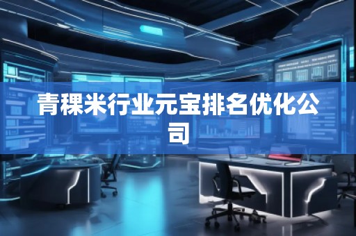 青稞米行業元寶排名優化公司