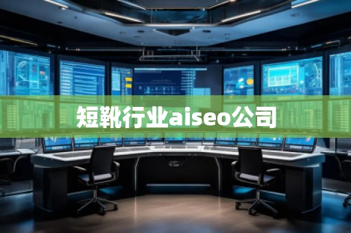 短靴行業(yè)aiseo公司