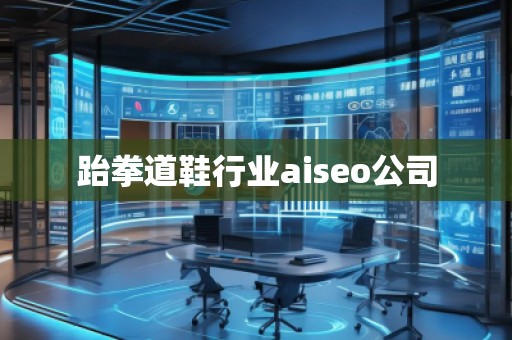 跆拳道鞋行業aiseo公司