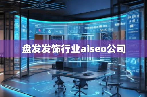 盤發發飾行業aiseo公司