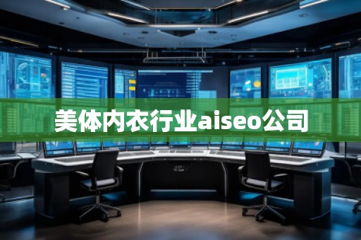 美體內(nèi)衣行業(yè)aiseo公司