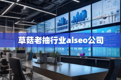 草菇老抽行業aiseo公司
